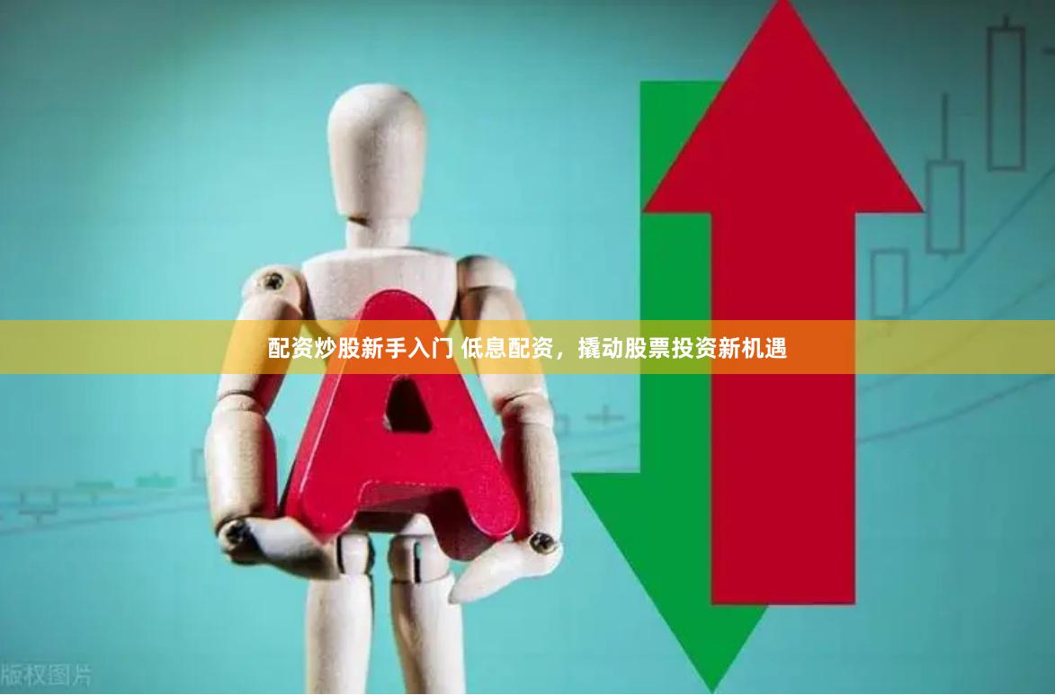 配资炒股新手入门 低息配资，撬动股票投资新机遇
