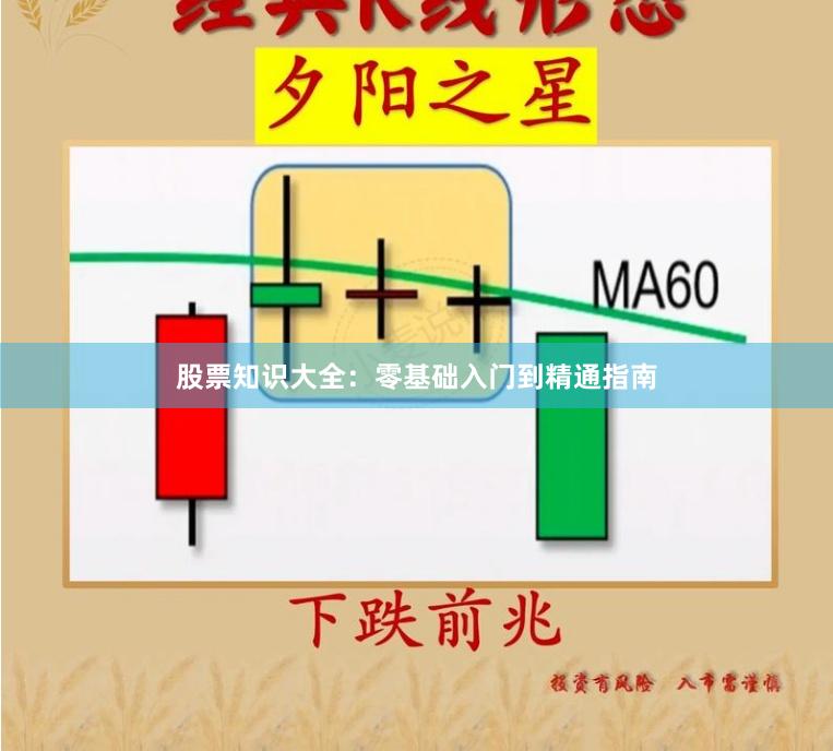 股票知识大全：零基础入门到精通指南