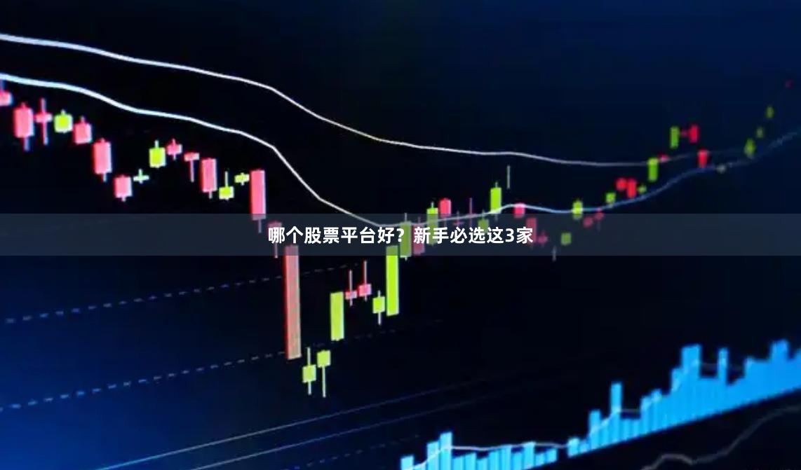 哪个股票平台好？新手必选这3家